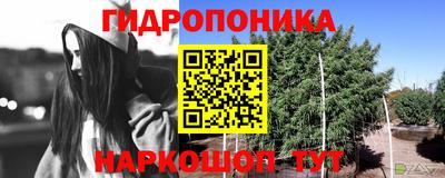 ECSTASY Кумертау