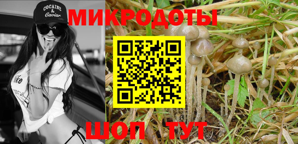 Галлюциногенные грибы Psilocybe  Галлюциногенные грибы Magic Shrooms  Вход с VPN  Камышин 